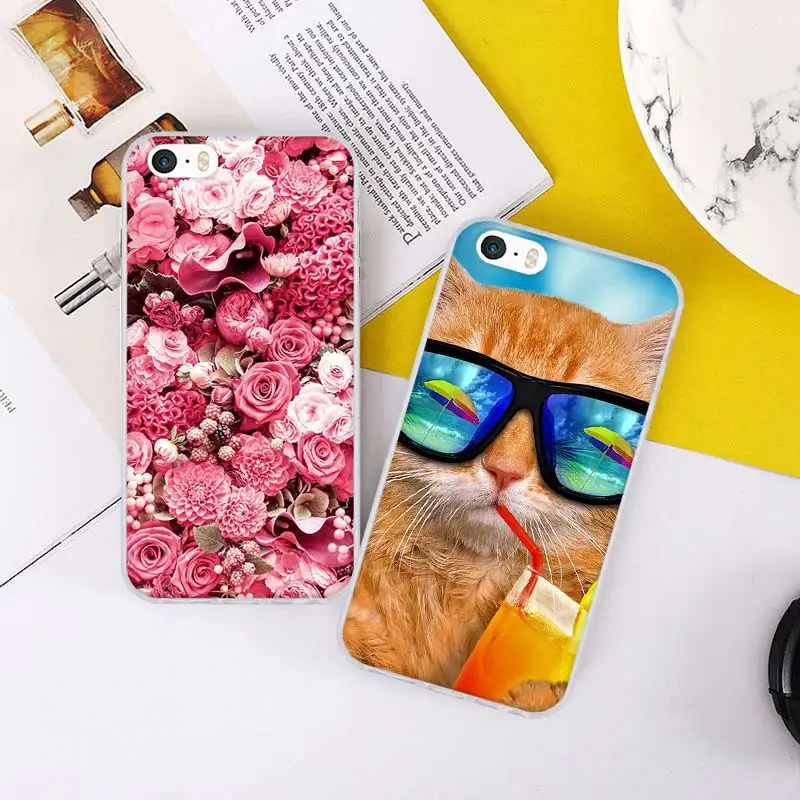 玫瑰花、眼镜猫