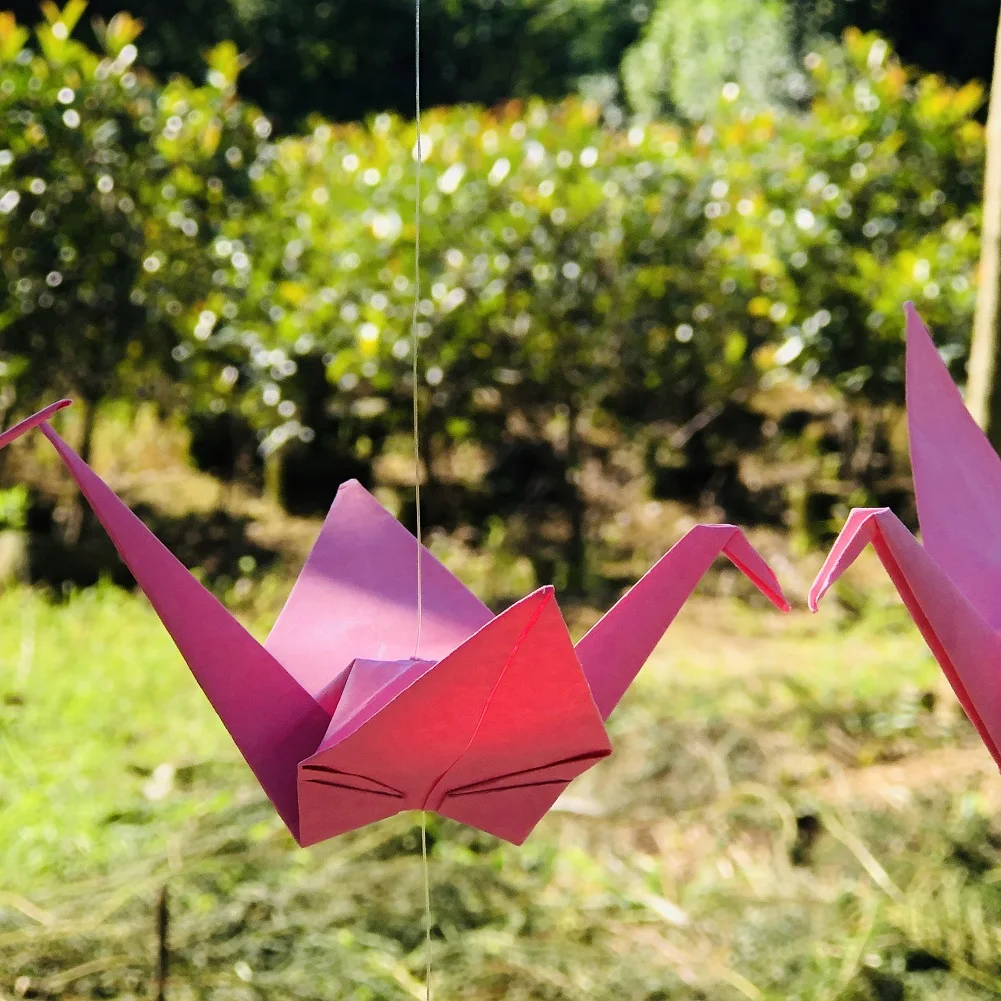 Festa De Casamento, Origami Crane Na Corda