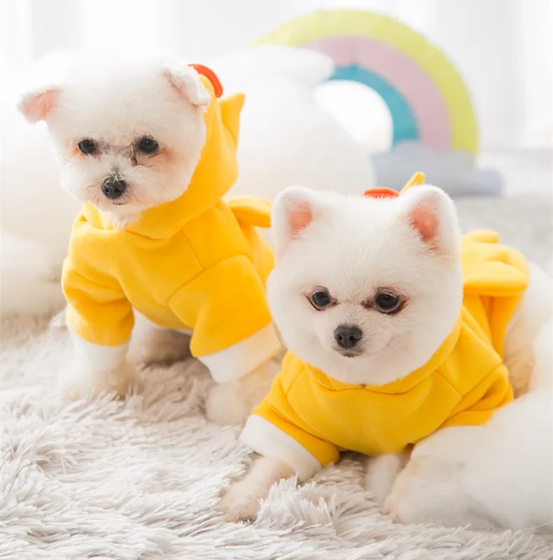 dog hoodies (15)