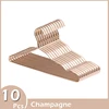 10PCS Champagne