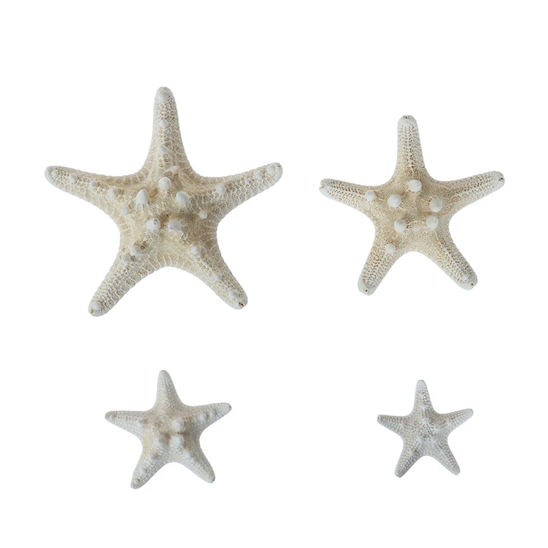 artesan-as-de-estrella-de-mar-blanca-para-decoraci-n-de-bodas-concha-de
