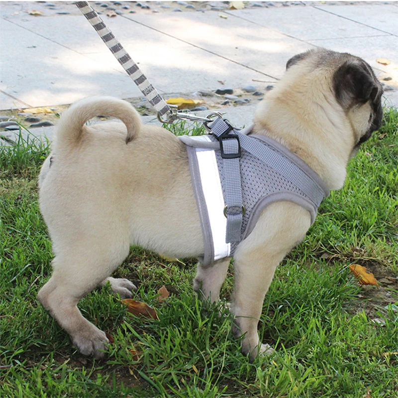 16337880574_609020808