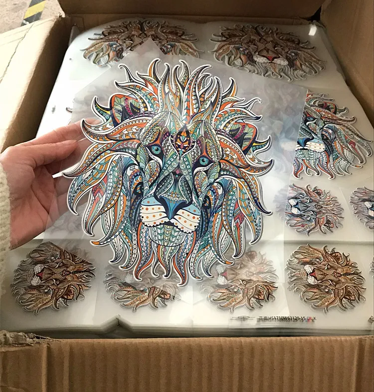 6430354231_717662288