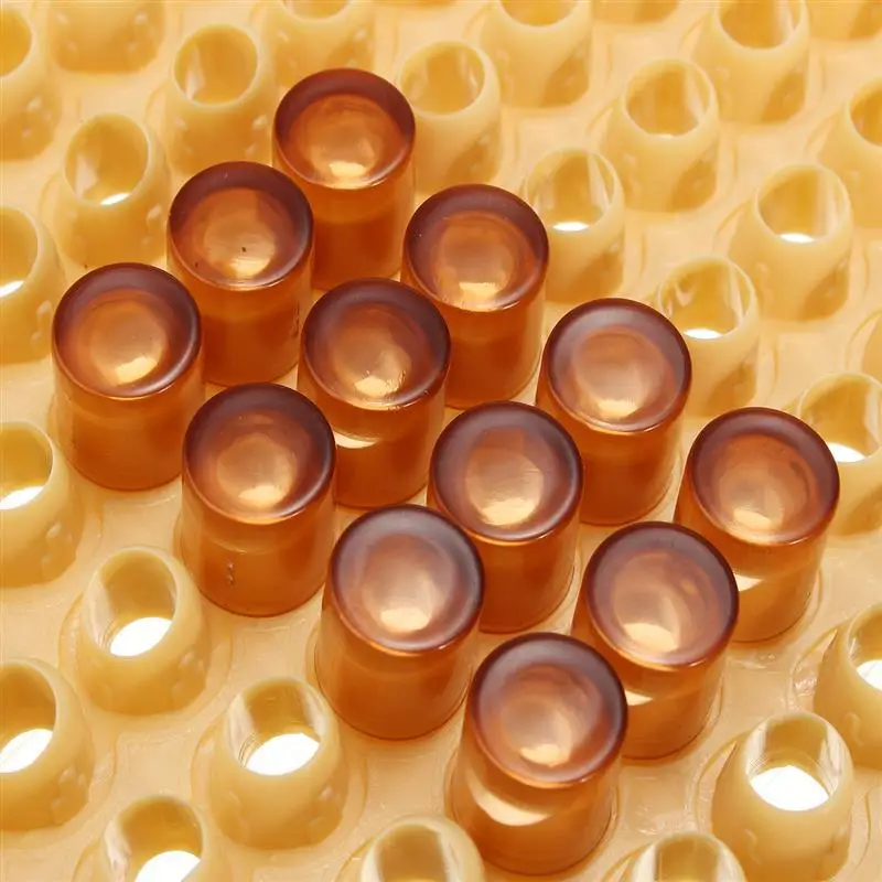 Система Королевского выращивания пчеловодства инструменты для вспомогательное