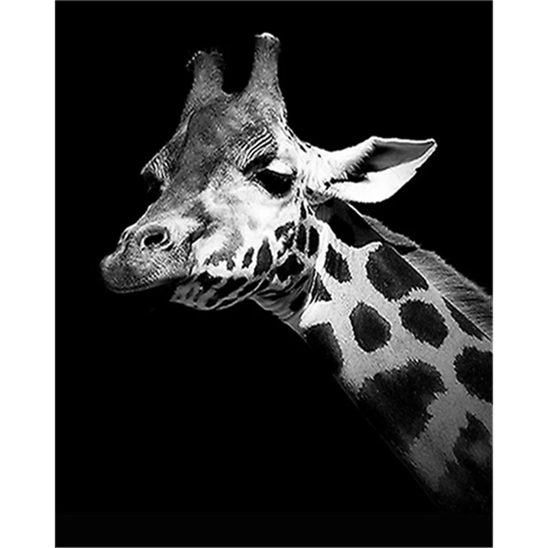 HTB12hNhKAyWBuNjy0Fpq6yssXXaq