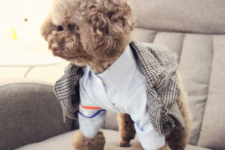 h2+Xif2nxdR3mZ48XMpiQBEGnp3JvIJbBfoJ