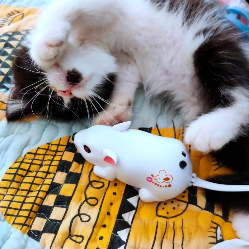 Игрушка для кошек с аккумулятором USB игрушка датчиком над хвостом чувствительная