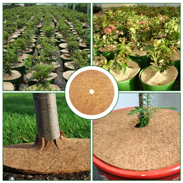 8Db 20 Cm Kókuszdió Szőnyeg Környezetbarát Tárcsa Vödör Burkolat Tartsa Meg A Vizet - Image 4