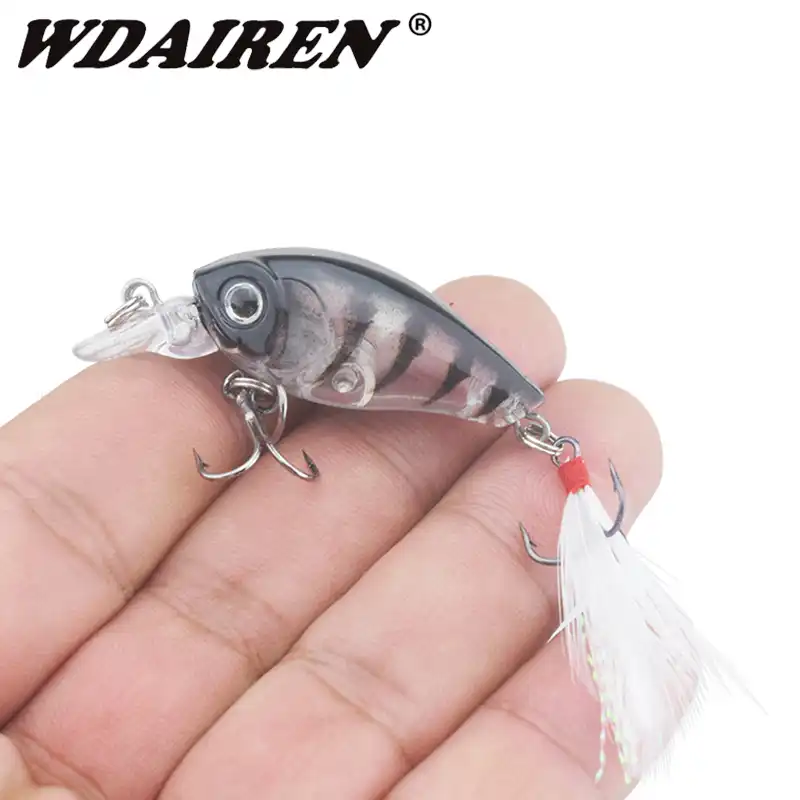 crazy lure bait and tackle