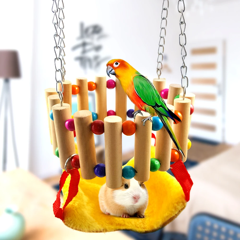 small colorful birds pets