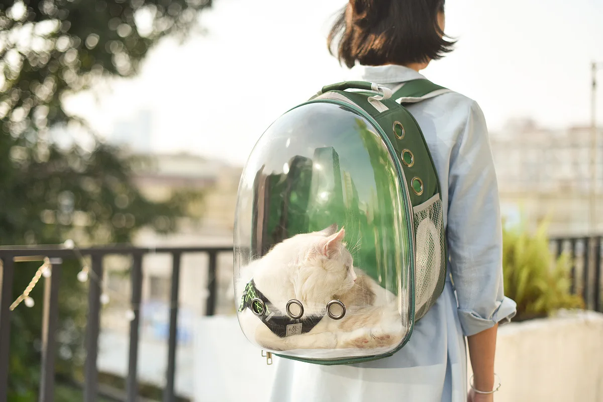 Космическая капсула астронавт Pet Cat Рюкзак пузырьковое окно для котенка щенка чихуахуа маленькая переноска для собак ящик для путешествий на открытом воздухе