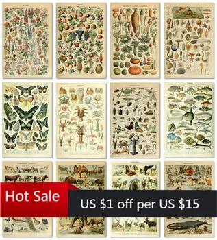 

Vintage Vegetable Fruit Mushroom Poster Print Antique Art Print Botanical Science Poster Canvas Painting Wall Decor Pictures