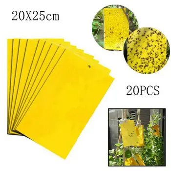 

New Hot 20Pcs Sticky Fly Trap Paper Yellow Trap Fruit Flies Insect Glue Catcher Set 40P