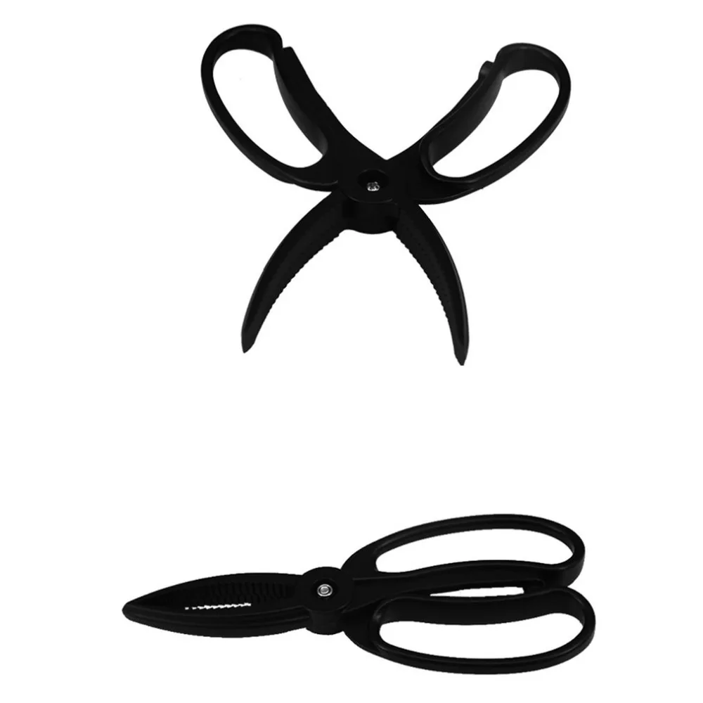 TY550301-C-20110904-1