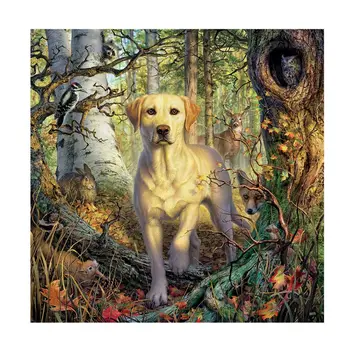 

Dog DIY 5D Full Drill Diamond Painting Embroidery Cross Stitch Kit Rhinestone Home Decor Craft Q6PE