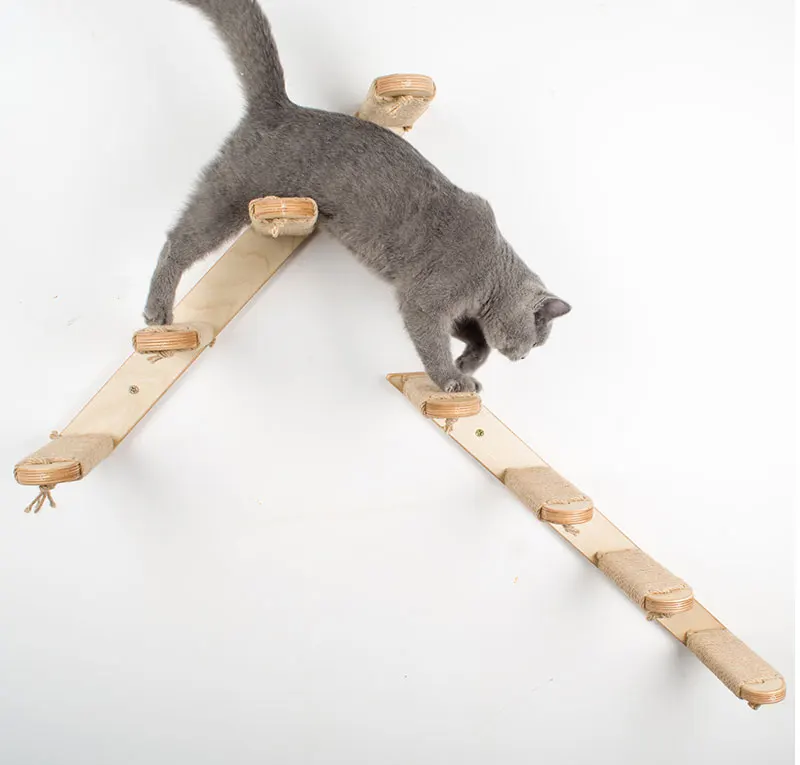 ladder_57