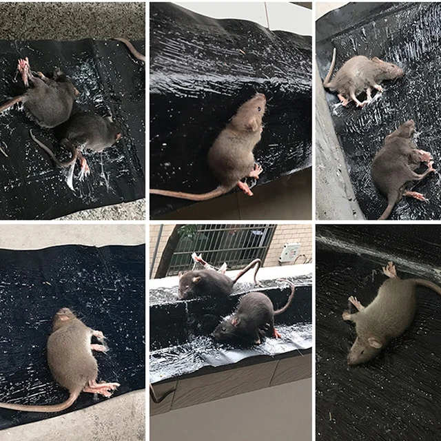 120 X 28 Cm Láthatatlan És Átlátszó Patkány Megöli A Mágikus Szőnyeg Rágcsálókat - Image 6