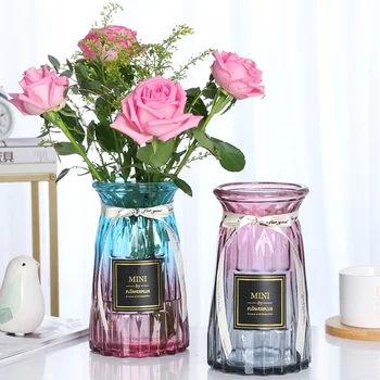 

Glass Vases European Style Simple Hydroponic Plant Flower Vases Home Living Room Decoration Dried Flower Container HYD88