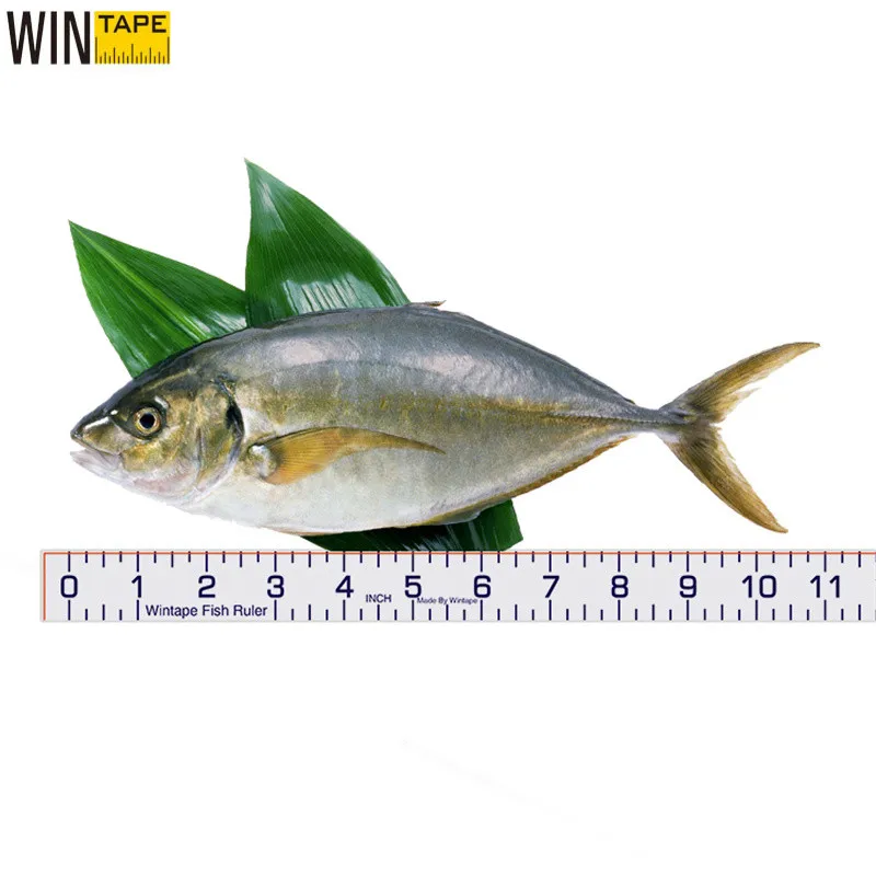 WINTAPE Fish Height Tape Measure Sticker Outdoor Measurement Tools For Fishing  Measuring Ruler Stickers Fish Measuring 40Inch