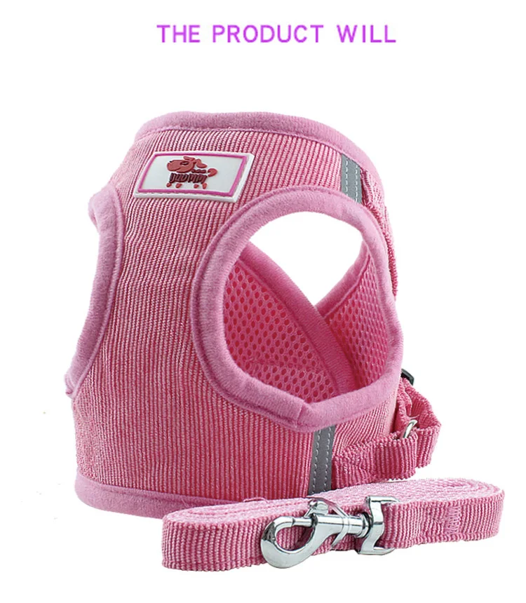 11113458774_609020808