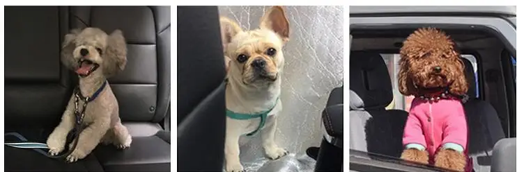 QQ截图20191218103718