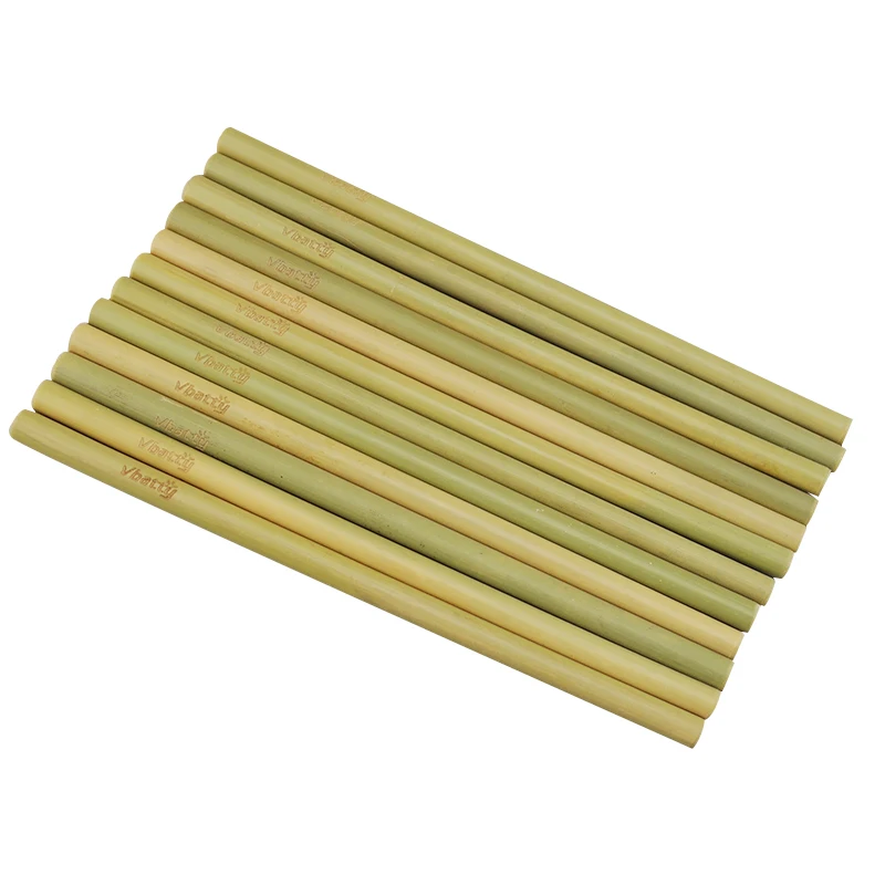 Bamboo Straw (1)