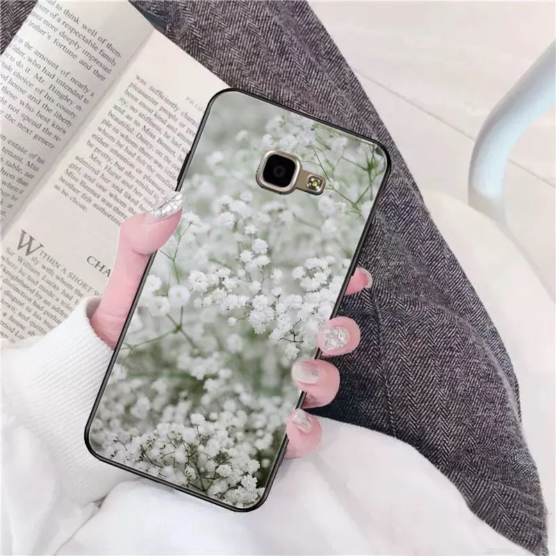 Beautiful flower Gypsophila