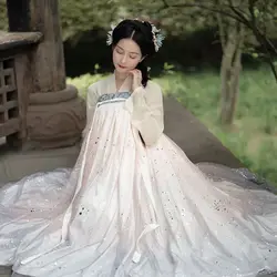 Sequined National Folk Dance Costume Chinese Traditional Fairy Dress Classical Tang Dynasty Princess Ancient Hanfu Women Outfits