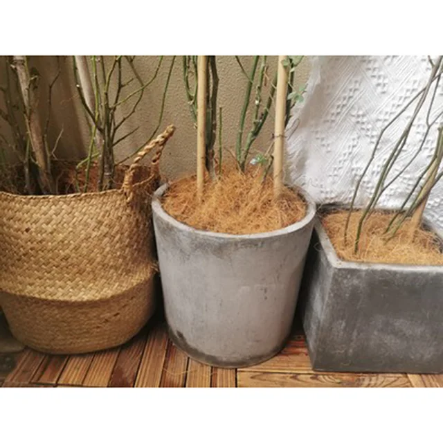 Természetes Kókuszdió Héja Rost Orchideák Kézműves Kisállat Ágynemű Rovarbiztos Védelem Növények Fenntartják A Talaj Hőmérsékletét - Image 5