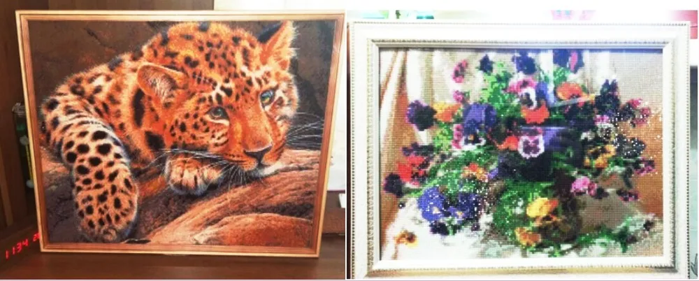 9595784229_421734551