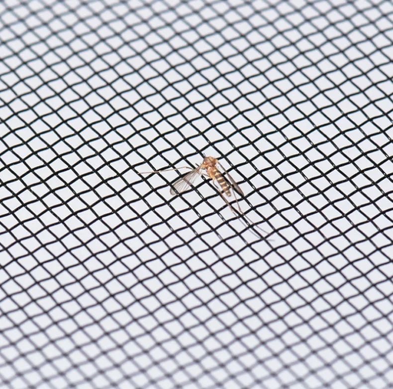 O1CN01QjAgCB1geX06VXNwo_!!686364167