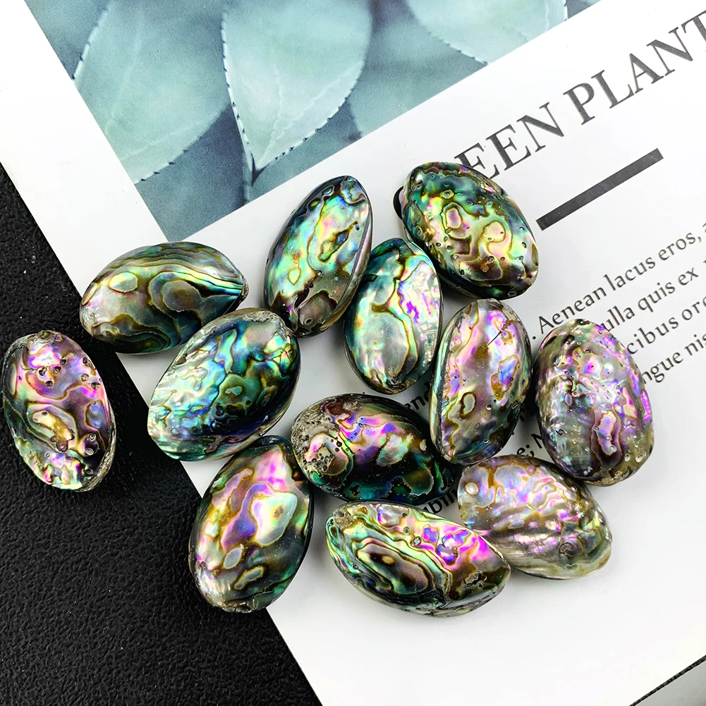Natural Shell Ornaments 2PCS Colorful Double Sided Natural Abalone Shell Charms Pendant for Women Jewelry Making DIY Findings Gift