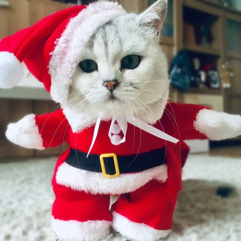 Рождественский костюм для кошки маленькая кошка собака Рождественский новогодний костюм Одежда для котенка зимняя забавная косплей одежда Санта Клауса