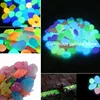 10/50pcs Luminous Glowing Stones Shell Shaped Starfish Shell For Fish Tank Table Walkways Garden Glow in the Dark Pebbles Decor ► Photo 3/6