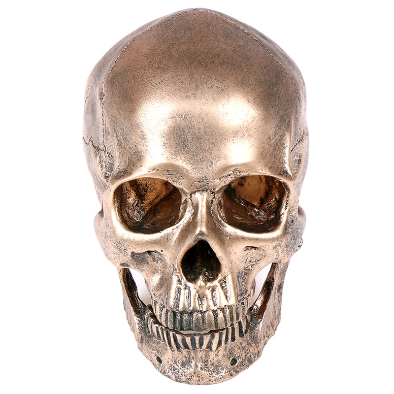Bronze Resin Skull Model Painting Medical Sculpture Statue Crafts Halloween Home Decoration | Дом и сад