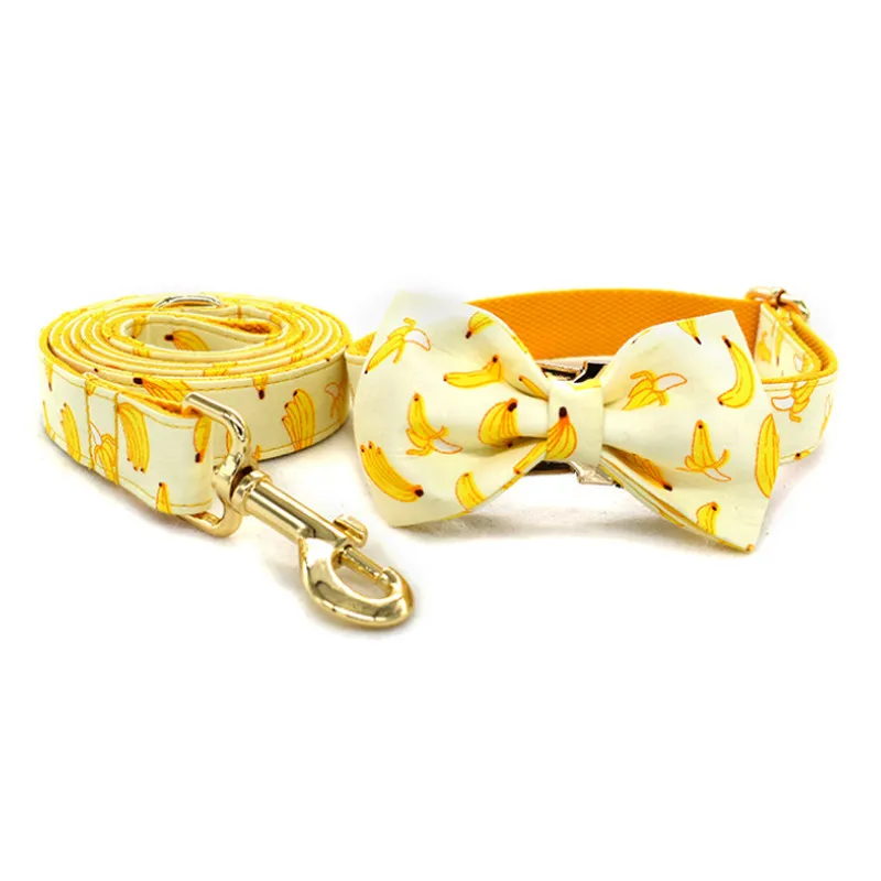 cute dog collar and leash sets
