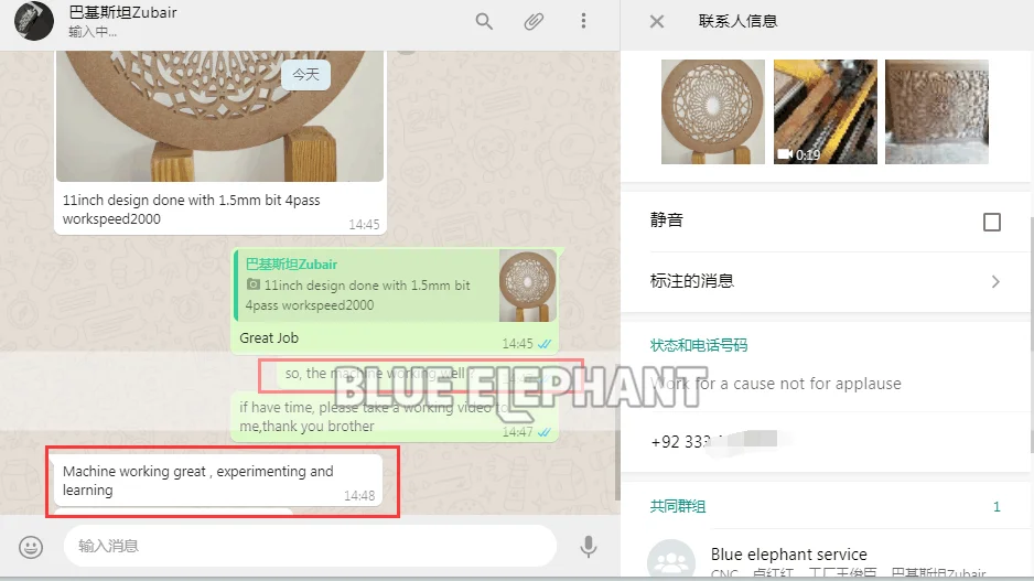 41.Demi巴基斯坦1325侧旋好评