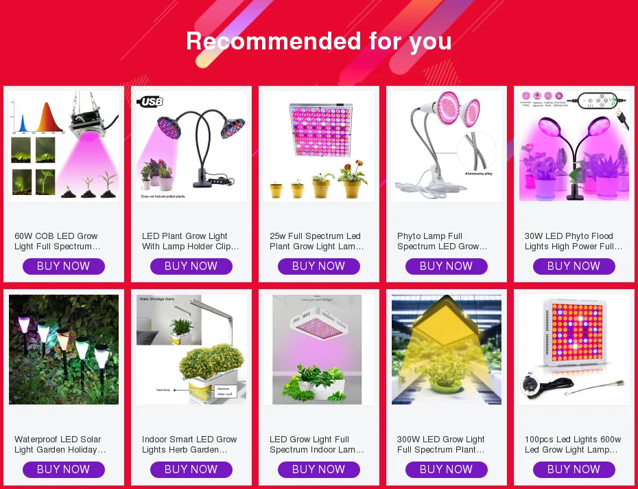 Waterproof LED Solar Light Garden Holiday Solar Lawn Lamp Light Stake Environmentally Friendly Garden Tools