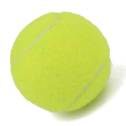 Professional Reinforced Rubber Tennis Ball Shock Absorber High Elasticity Durable Training Ball for Club School Training
