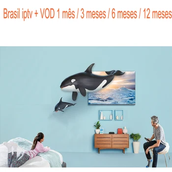 

Brazil Android IPTV 12 Months Subscription Portuguese include 8000 more Brasil vod work for android box table pc mobile