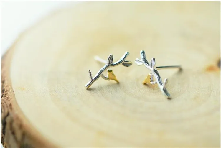 9566232358_1966409281