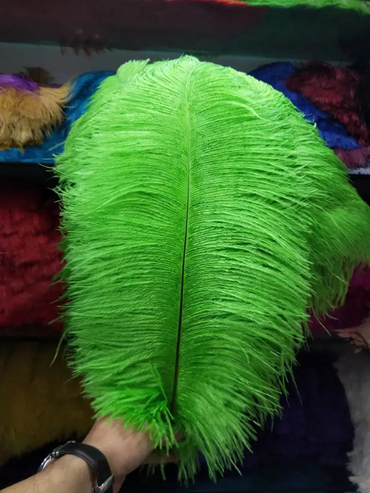 Wholesale pretty 100 pcs ostrich feathers high quality 18-20inches /45-50cm DIY jewelry decoration / wedding celebration - Color: Green