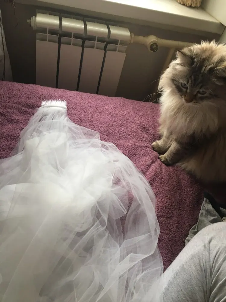 UTB8NED8sbPJXKJkSafSq6yqUXXaX