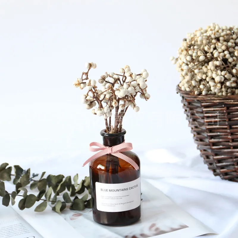 

Small Ginkgo Triadica Sebifera Natural Dried Flower Dried Fruit Filming Props Home Decoration Photographic Prop Preserved Fresh
