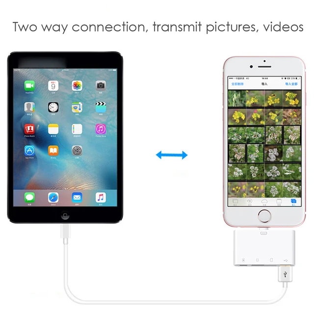 OTG czytnik TF karty SD USB matka siedzenia prędkość odczytu USB2 0 prędkości kompatybilny dla iPad iPhone 5 6 7 8 x xs iOS tanie i dobre opinie WOTOBE CN (pochodzenie) WTB-V9 Uniwersalny Apple lightning OTG reader 1080p HD For iPhone 5 6 7 8 x xs iPhoneXS Max iOS 12 OTG czytnik TF karty SD USB matka siedzenia prędkość odczytu USB2 0 prędkości kompatybilny dla iPad iPhone 5 6 7 8 x xs iOS tanie i dobre opinie WOTOBE CN (pochodzenie) WTB-V9 Uniwersalny Apple lightning OTG reader 1080p HD For iPhone 5 6 7 8 x xs iPhoneXS Max iOS 12