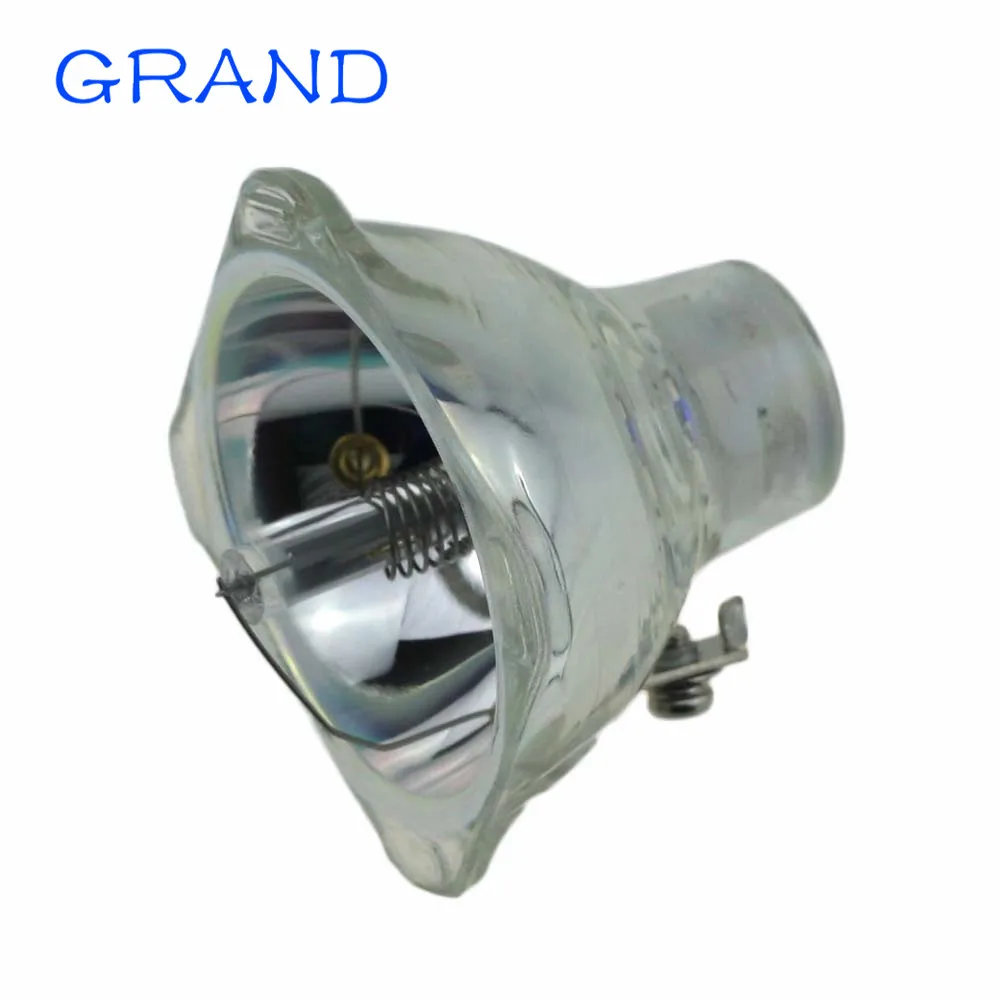 SP-LAMP-003-3