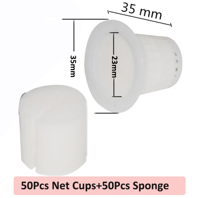 50XCup50XSponge No 2