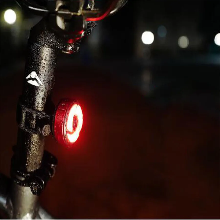 Bike light intelligent induction brake tail light USB charging bicycle tail light LED bicycle warning safety smart light 35A5 (1)