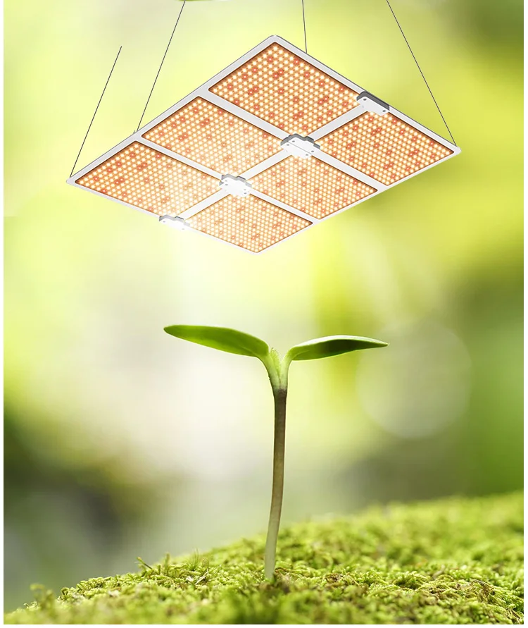 量子板QB6000详情-ENGLISH-NEW_03