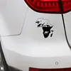 Exterior Accessories